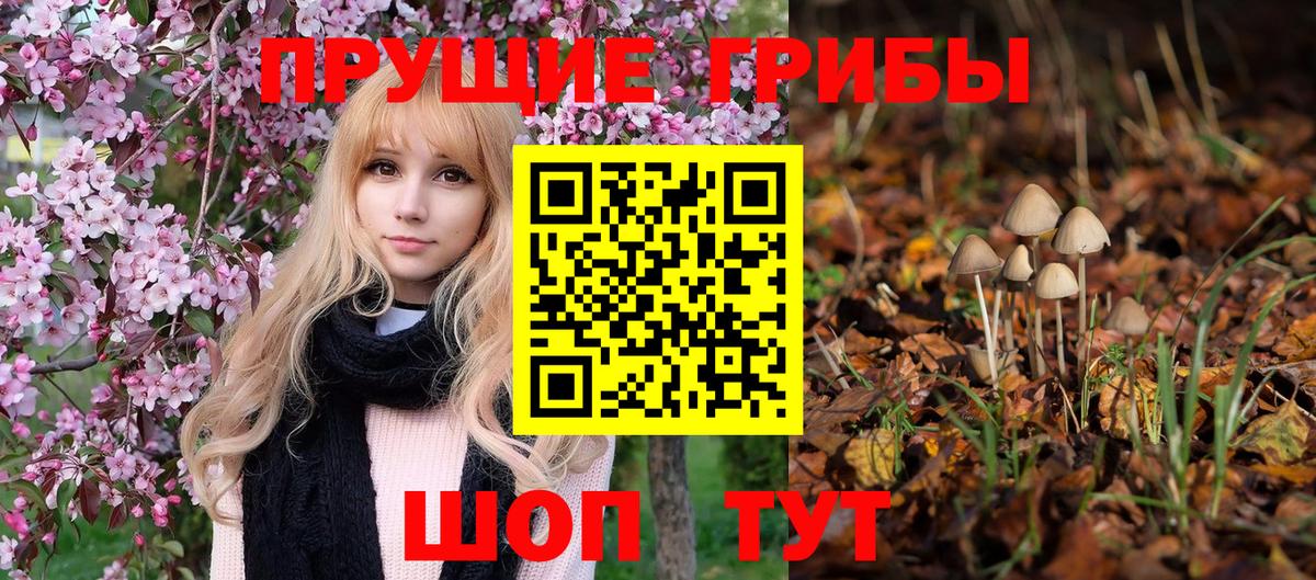 Галлюциногенные грибы Cubensis Строитель